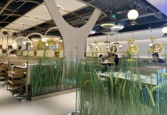 餐廳生意不好應該怎么辦，餐飲老兵的8條建議：其中有幾條餐飲人都踩過！